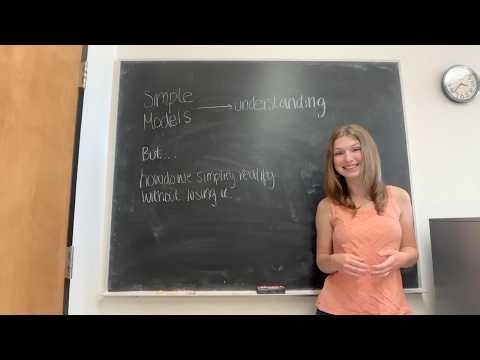 7 - How We Simplify Reality Without Losing It
