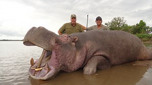 Mozambique Big Game Hunts | Professional Big Game Hunting Guide JR Hunting