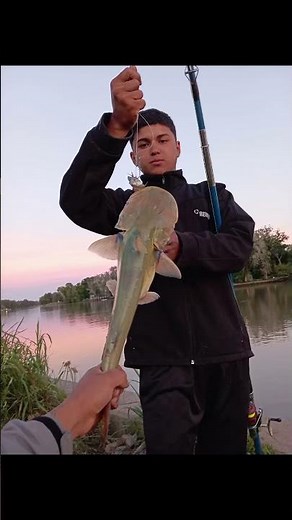 2 de septiembre de 2025