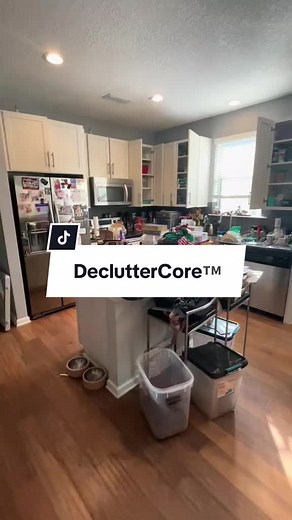 #creatorsearchinsights Declutter Kits are easy to follow step-by-step guides to declutter and organize your entire home! #professionalorganizer #declutter #organize #declutterwithme #organizinginspiration