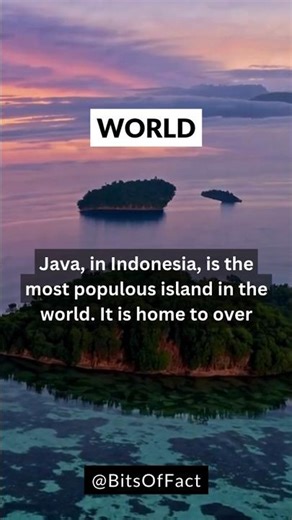 The World's Most Crowded Island