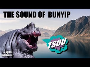 BUNYIP - The lurker of Australian waters