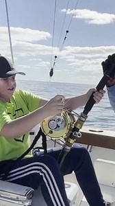 7.2K views · 33 reactions | They tagged the shark so experts could study her migration patterns. And then they let her go. 麗 STORY: https://kptv.tv/3D6HnDZ | FOX 12 Oregon | Facebook