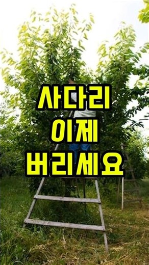 사다리 없이 가지치기 끝! 3IN1 무선 전기톱+전지가위 장대톱 🔥