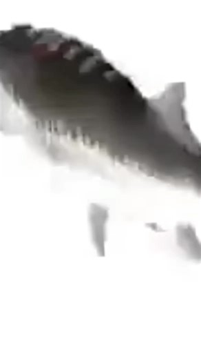 kraftwerk fisch zeugs #meme #song #musik #deutsch #fy