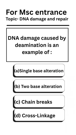 DNA Damage Caused by Deamination | MSc Entrance Exam Question !! #shorts #ytshorts