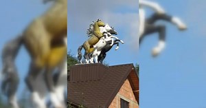 VIDEO. Imagini virale cu statuile a 3 cai în mărime naturală pe acoperișul unei case. Localitatea în care poate fi admirată construcția