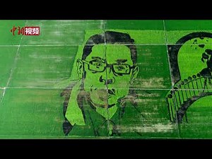 新疆伊犁稻田绘制钟南山画像 致敬抗疫英雄