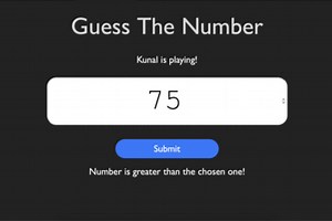 Guess The Number