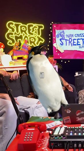 The PENGUIN technique🐧 #streetsmart #dre #papikein #bidet #clips