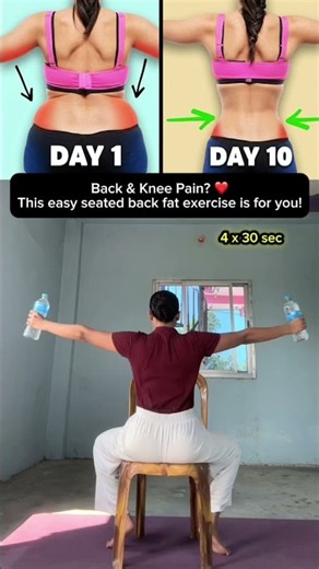 Struggling with Back & Knee Pain? On Your Demand Easy Seated Back Fat Exercise!