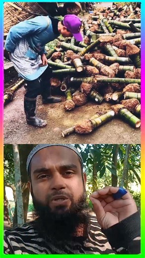 Moshiur Rahman on Instagram: "😍ভাইরাল চামচ!বাশের চামচ তৈরির গোপন প্রক্রিয়া! #bamboocraft #craftsmanship #carpenter #বাংলার_শিল্প #crafts #traditionalwork #villagelife #TrendingNow2025 #reels"