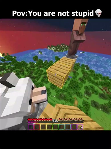 Minecraft Stupid Moment