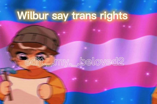 Exploring LGBTQ Representation in the Dream SMP Community