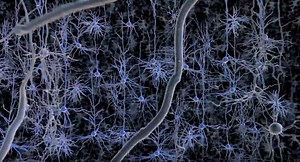 Congratulations to Ed Boyden on receiving the 2018 Canada Gairdner International Award! – MIT Media Lab