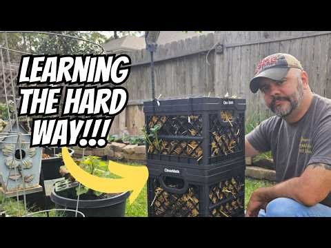 This Hasn't Gone As Planned.. Potato Tower Update #2 || DHBG