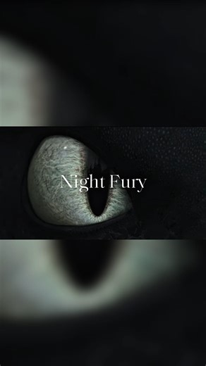 #httyd #howtotrainyourdragon #nightfury #toothless #dragon