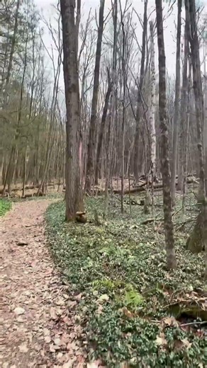 Why You Should Hike Alone At Least Once #shorts #adventure #hiking #explore #moments #nature #solo