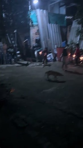 Adobe flash player r.i.p 1996-2020 dec 31 before 5 years after