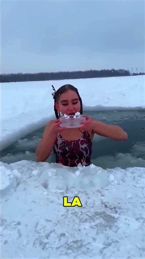 Les véritables rois du froid 😯❤️