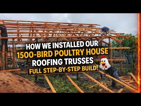 How We Installed Our 1500-Bird Poultry House Roofing Trusses — Full Step-by-Step Build.