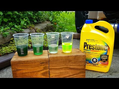 Coolant Flush | Genesis Coupe