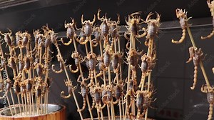 Live scorpions on a stick at Wangfujing street in China, street food vendor