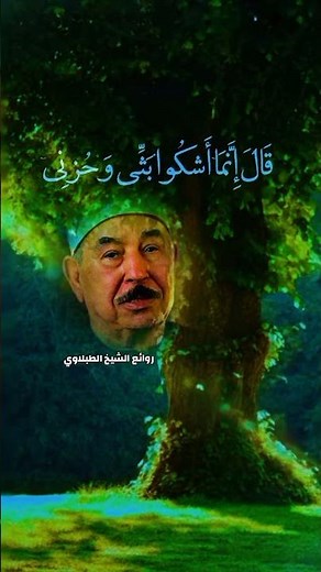 الشيخ محمد محمود الطبلاوي - تلاوة تريح القلب