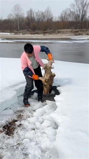 This guy is using wood to chisel ice to catch fish; that's creative!
