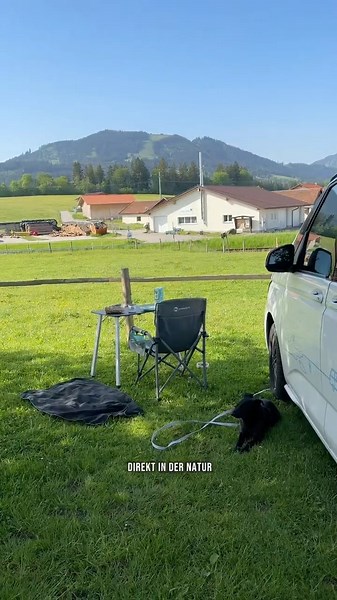 Why Vanlife is the BEST way to travel with your dog