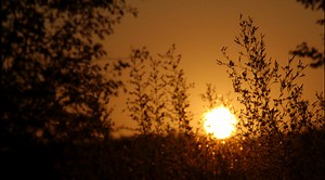 NamPower - About NamPower