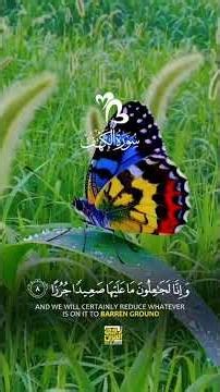 Surah Al-Kahf – The Light Between Two Fridays | Heart-Touching Quran Recitation #islam