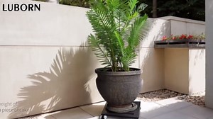 Heavy Duty Plant Caddy with Wheels, 2 Pack Metal Rolling Plant Stand Indoor Outdoor, 12'' Square Plant Dolly with Lockable Caster Wheels Holds up 400 Lbs Planter, Black