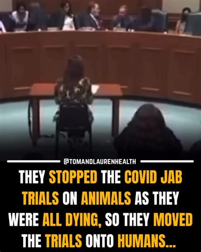 Tom & Lauren on Instagram: "🚨HUMAN GUINEA PIGS Big Pharma transitioned their safety trials onto humans as all the animals they tested the covid ‘vaccine’ on were dying… 👉 Regret taking the jab? ⬇️ Then comment “COPY” below and we’ll send you our FREE copy on how to detox from the covid jab. ‼️ Check your messages / message requests. Tom and Lauren 🫡 Follow for more: @tomandlaurenhealth Other accounts: @tomandlaurentruths Find us on: IG - tomandlaurenhealth FACEBOOK - Nutrition with Tom and La