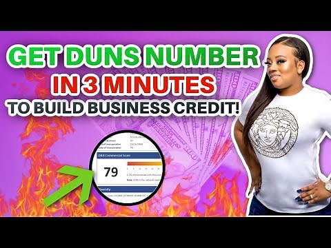 Business Credit 101: How to Get a DUNS Number/Dun and Bradstreet Number in 3 Minutes