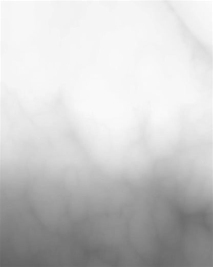 Understanding Lookism: The Impact of Appearance Bias