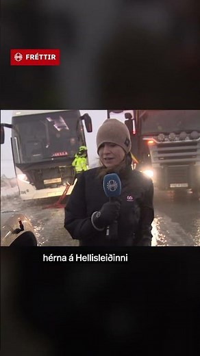 Windy Reporter