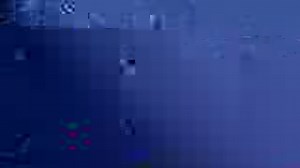 Best View in the Office: An Inside Look at the Waterbox Studio Aquariums Featured: REEF LX 320.7 and PENINSULA 4820 | Waterbox Aquariums