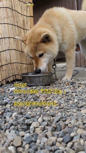 しめしめ