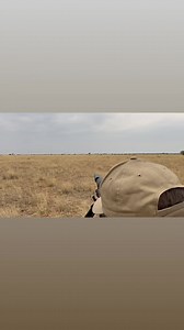 4.1K views · 29 reactions | Trophy springbok hunt! #308win | Henry Griffiths | Facebook