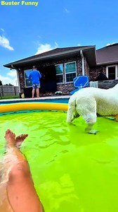Baseball, Pool Floats & Chill Vibes 🐶⚾☀️ Just a lazy Sunday afternoon—college baseball on, pup by my side, and float life in full effect. Summer’s officially in session! | Buster Funny