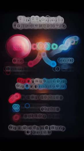 Feathered Chief on Instagram: "Every Man Begins as X Biology is not opinion. Every human life begins from the mother’s egg. The egg is always X. The foundation is always XX lineage. The sperm does not create life — it modifies what already exists. XX builds structure. XY modifies expression. The Y chromosome is not an independent origin. It is a specialized derivative of the X framework. Without X → no Y. Without mother → no child. Even at the cellular level: • The egg provides cytoplasm • The e