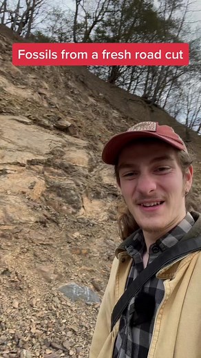 Exploring Ancient Fossils in West Virginia