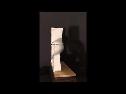 Cutaway View ToiletC