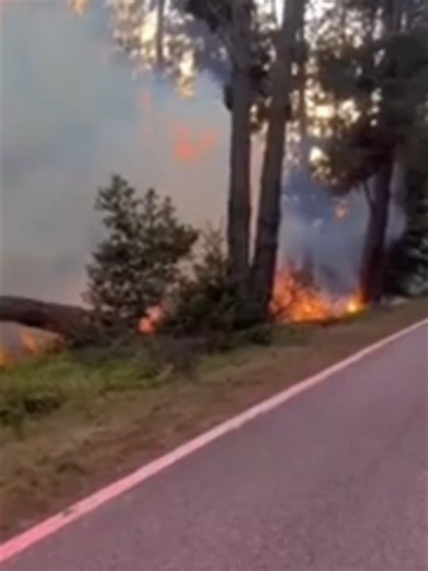 🔥 BURNING IN CALIFORNIA: The Woodside Fire in California continues to burn as firefighters try to battle the flames. Video shows just how intense the situation has become. Stay with FOX Weather all weekend long for the latest on the ongoing fire threat. #FOXWeather #weather #california #fire #wildfire