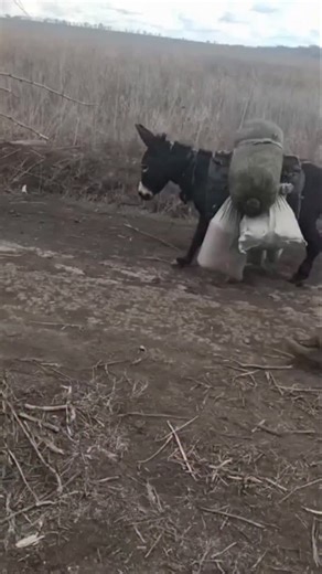 70 reactions · 4 comments | 𢡊 russian logistics in Ukraine. | Swedish Army Veteran | Facebook