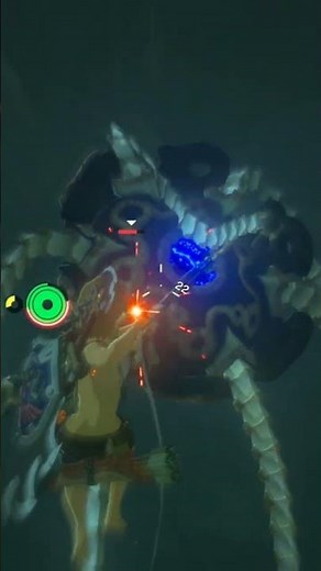 cool view of link #zelda #zeldabotw #gamer #gameplay #gaming #videogame #nintendo #zeldatotk #lol