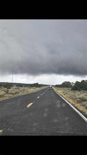 For increased safety, consider utilizing rechargeable strobe lights. Don't be part of the statistics! **not affiliated with the Amazon seller | Arizona Bus Club