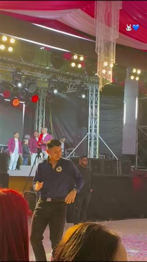 Explore the World of Cute International Rabbits