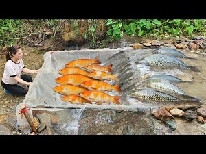 30 Day Video Ana created many different types of fish traps to catch fish. And caught a lot of fish